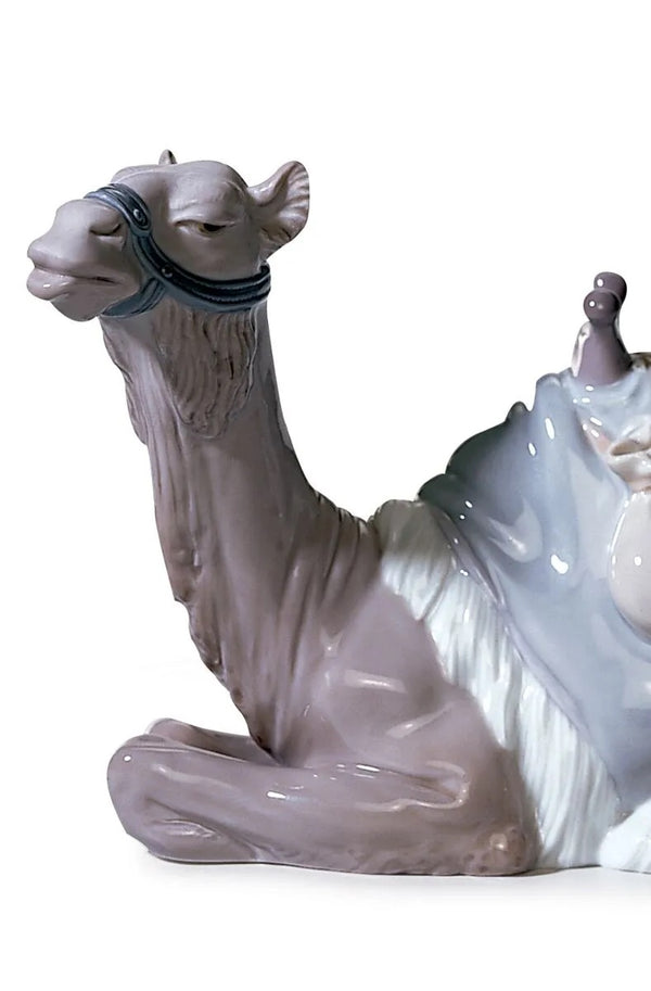 Camel Nativity