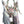 Load image into Gallery viewer, Floral Offering
