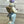 Load image into Gallery viewer, Tooth Mouse