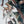 Load image into Gallery viewer, Pursued Deer Limited Edition