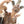 Load image into Gallery viewer, St. Michael