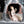 Load image into Gallery viewer, Venetian Serenade