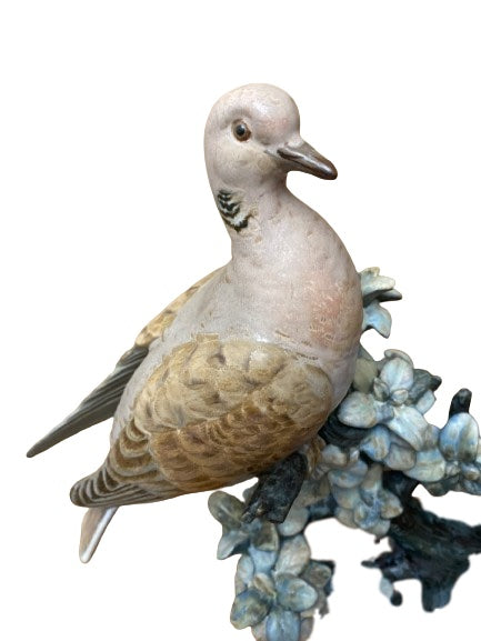 Turtle Doves