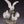 Load image into Gallery viewer, Group of Doves