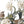 Load image into Gallery viewer, The Forest