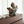 Load image into Gallery viewer, Mandarin Ducks Limited Edition