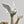 Load image into Gallery viewer, Peace Offering