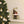 Load image into Gallery viewer, Santa I've Been Good!
