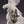 Load image into Gallery viewer, Group of Doves