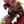 Load image into Gallery viewer, The Dragon