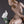 Load image into Gallery viewer, Nude with Dove