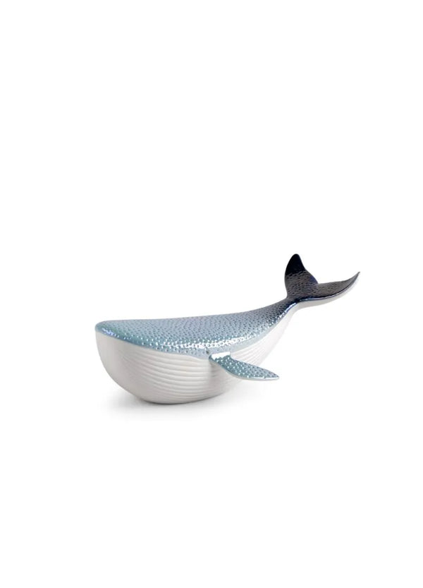 Little whale