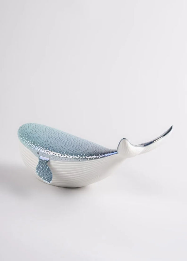 Little whale