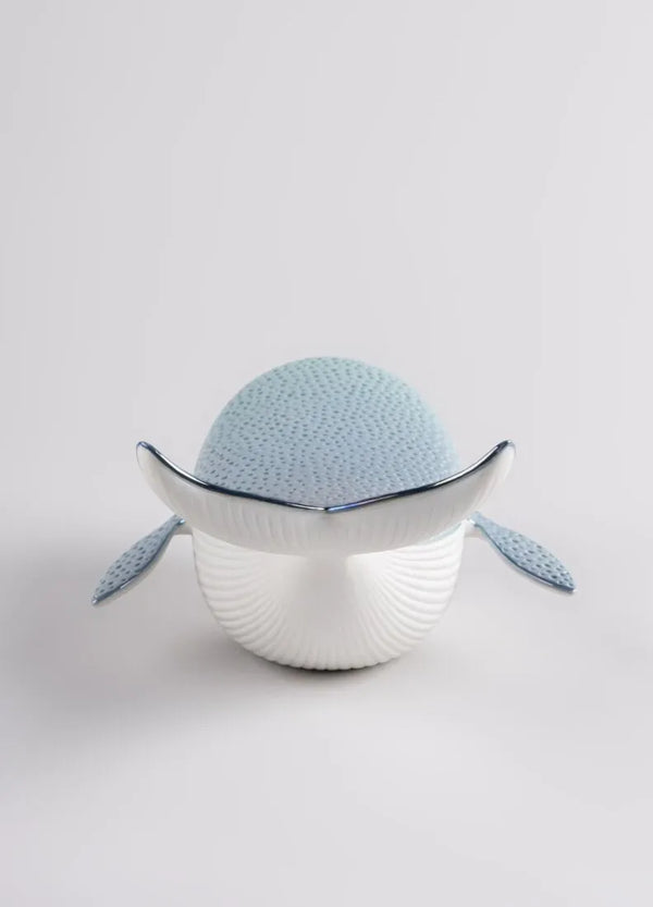 Little whale