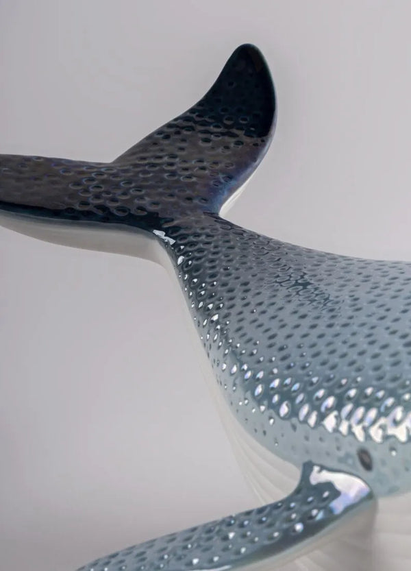 Little whale