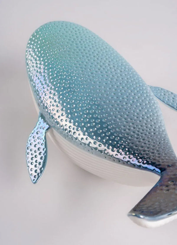Little whale