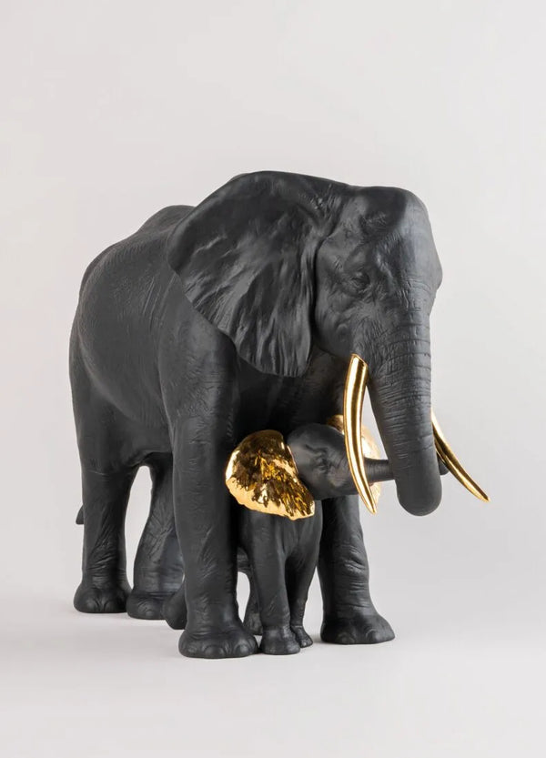 Leading the way Black Gold