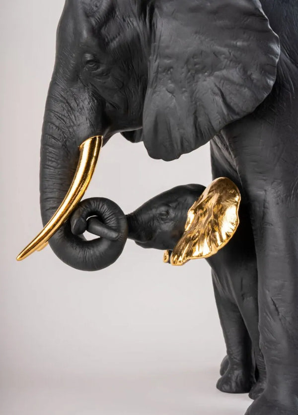 Leading the way Black Gold