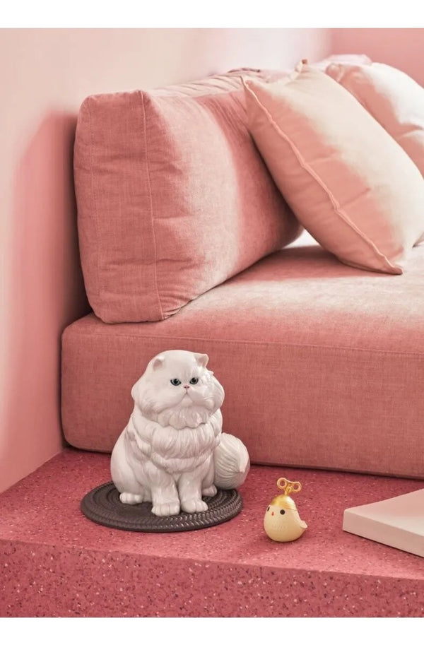 Persian Cat