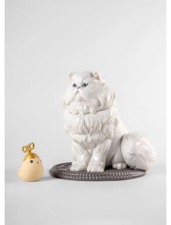 Persian Cat