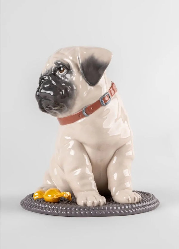 Puppie Pug