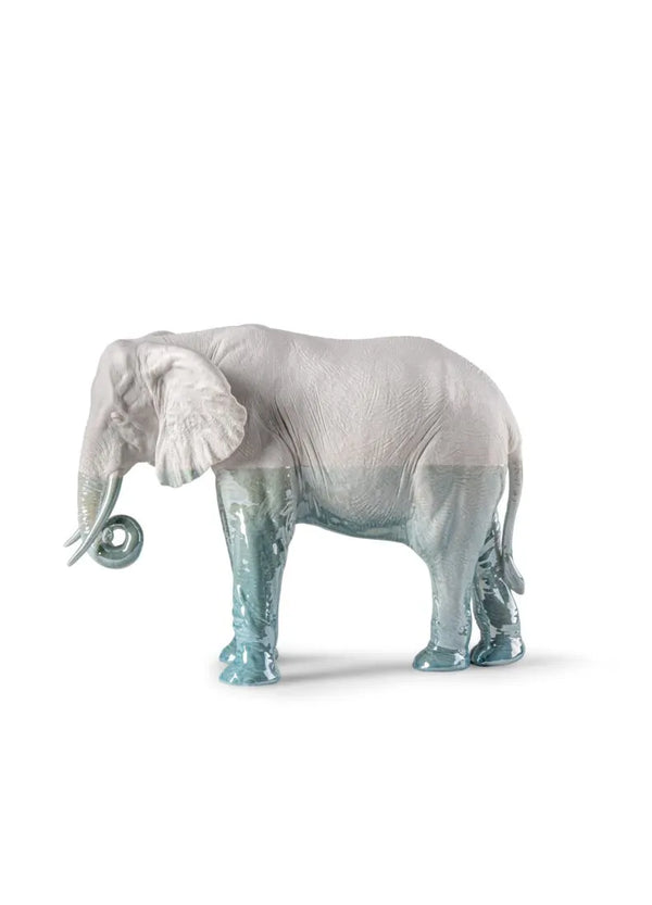 Elephant Underwater