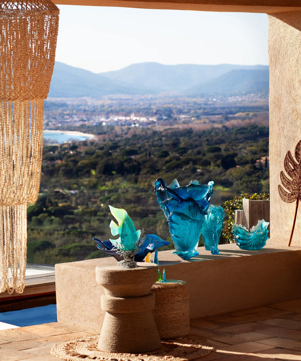 Royal angelfish Turquoise