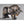 Load image into Gallery viewer, Black Bull
