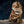 Load image into Gallery viewer, Tiger Sitting
