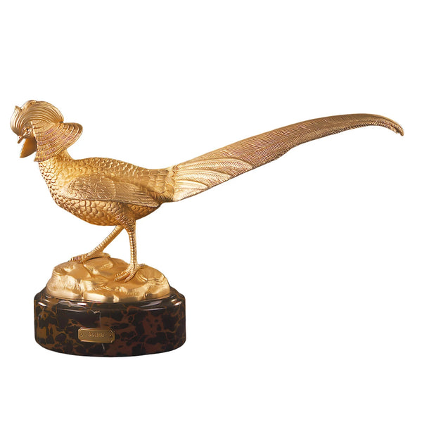 Golden Pheasant