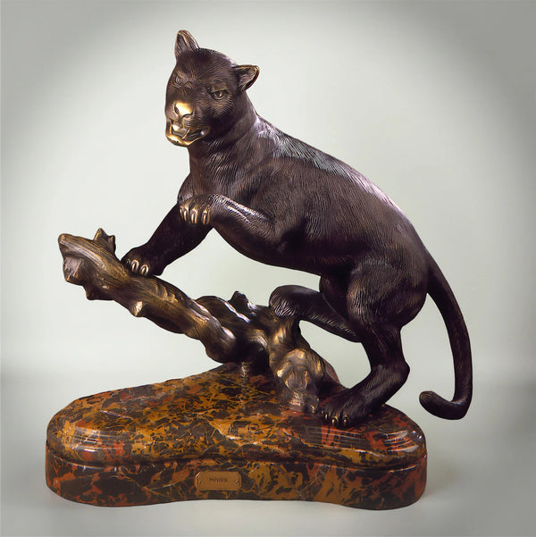 Puma