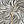 Load image into Gallery viewer, Zebra Umbrella
