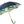 Load image into Gallery viewer, Tropical Umbrella Double Cloth
