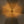 Load image into Gallery viewer, Umbrella Sunflowers
