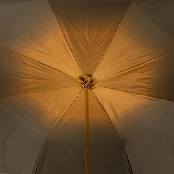 Umbrella Sunflowers
