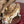 Load image into Gallery viewer, Watusi Queen
