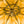 Load image into Gallery viewer, Gold Dahlia Umbrella
