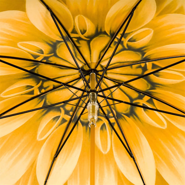 Gold Dahlia Umbrella