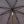 Load image into Gallery viewer, Burgundy Umbrella with Golden Dog
