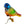 Load image into Gallery viewer, Clamp bird Lori Multicoloured
