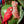 Load image into Gallery viewer, Vase with parrots Green
