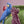 Load image into Gallery viewer, Vase with parrots Green
