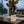 Load image into Gallery viewer, Passion
