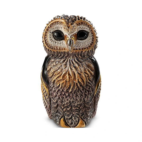 African Cape Owl