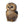 Load image into Gallery viewer, Baby African Cape Owl
