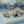 Load image into Gallery viewer, Galapagos Turtle &amp; Baby Set
