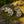 Load image into Gallery viewer, Nile Crocodile &amp; Baby Set

