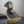 Load image into Gallery viewer, Puffin

