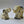 Load image into Gallery viewer, Indian Elephant &amp; Baby Set
