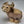Load image into Gallery viewer, Brown Ox &amp; Baby Set
